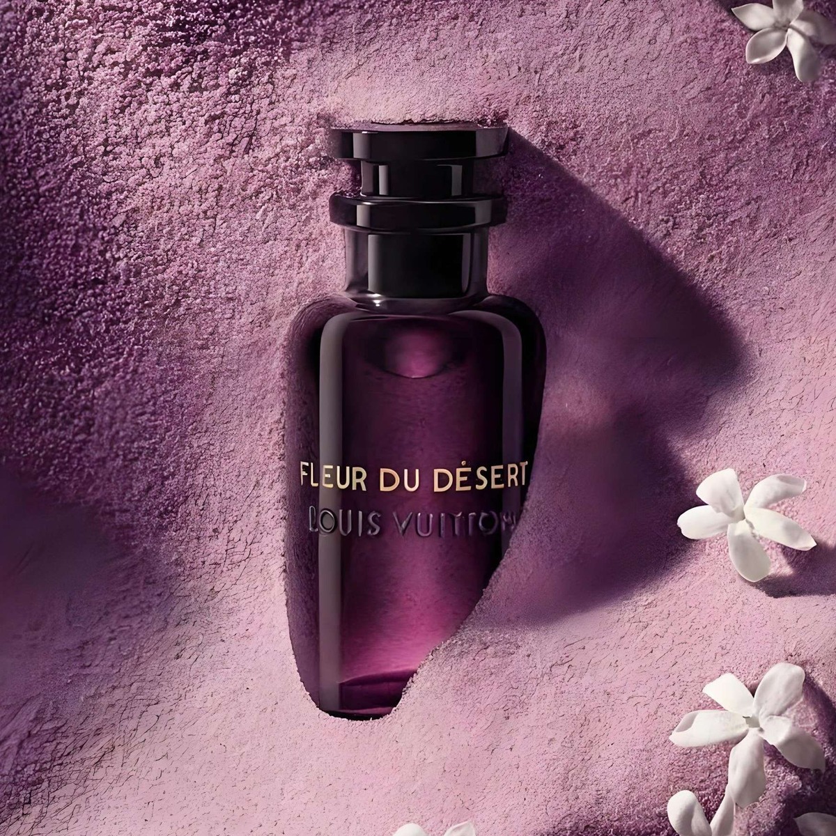 Fleur du Désert